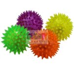 Multisensory Ball